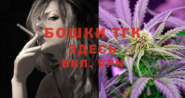 apvp Богородск